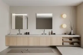 B.Light 1 Plus