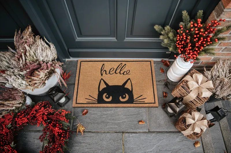 Hanse Home Mix Mats Fußmatte Kokos Watching Cat