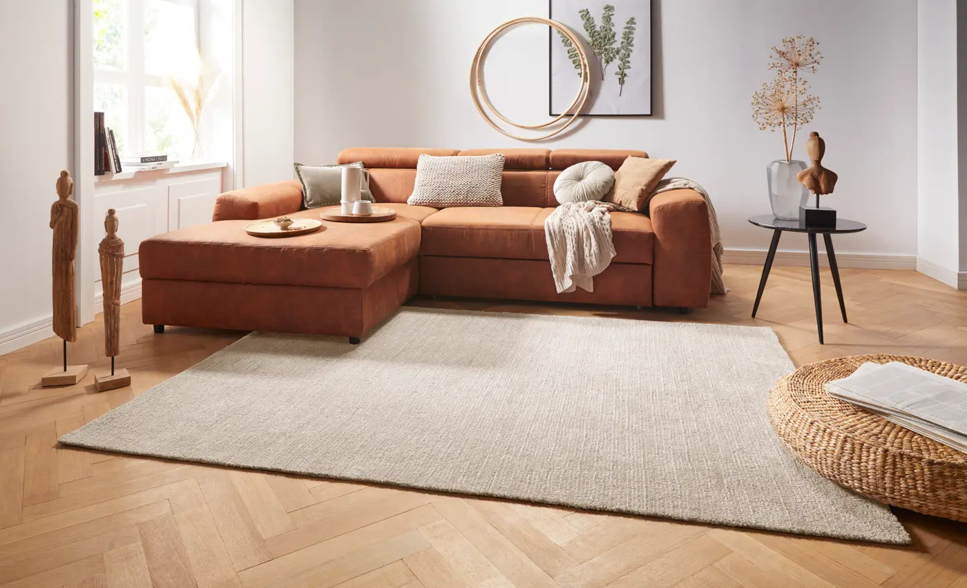 Hanse Home Cloud Hochflor Teppich Supersoft Beige – Ansicht 2