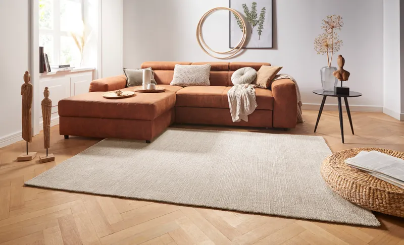 Hanse Home Cloud Hochflor Teppich Supersoft Beige