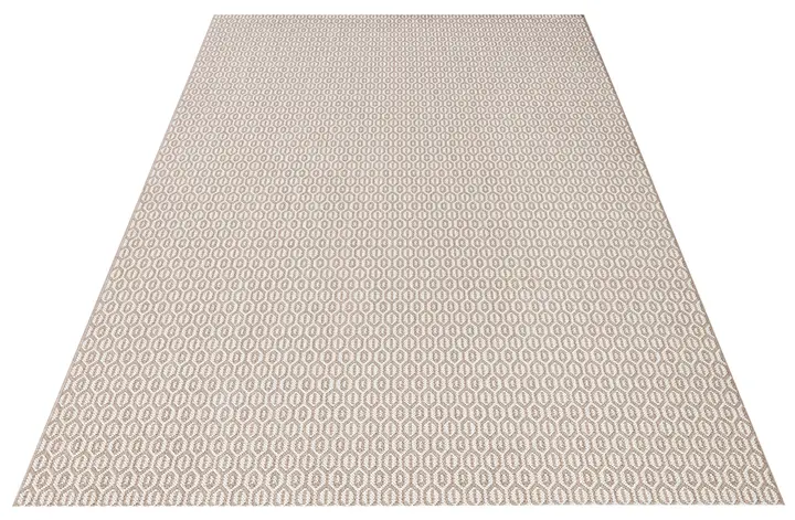 Hanse Home Meadow In- & Outdoorteppich Coin Grau