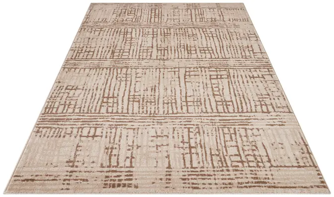 Hanse Home Terrain Designer Kurzflor Teppich Sole Creme Braun