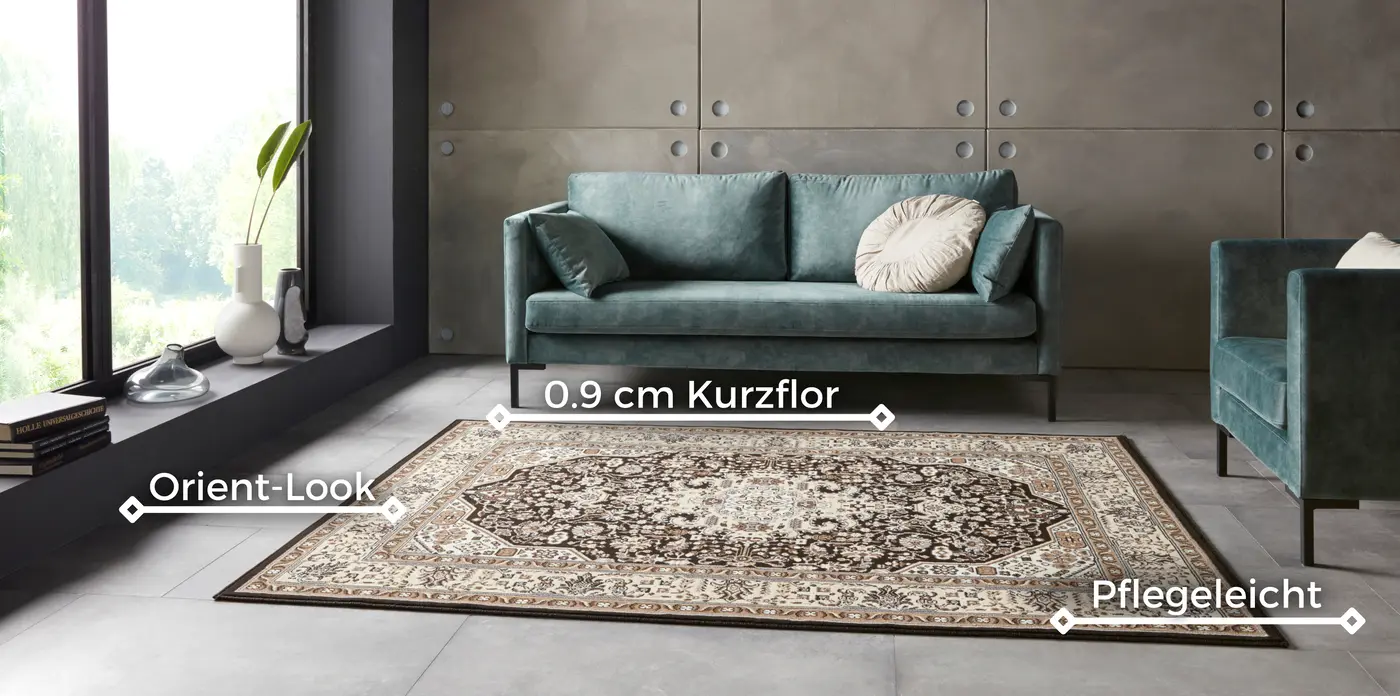Hanse Home Mirkan Kurzflor Teppich Skazar Isfahan Creme Braun – Ansicht 3