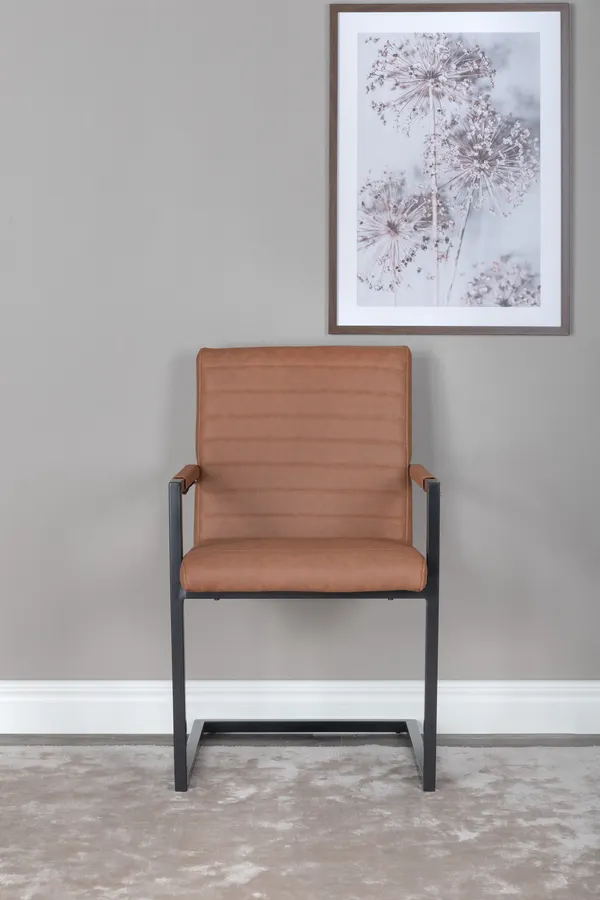 Art Dining Chair